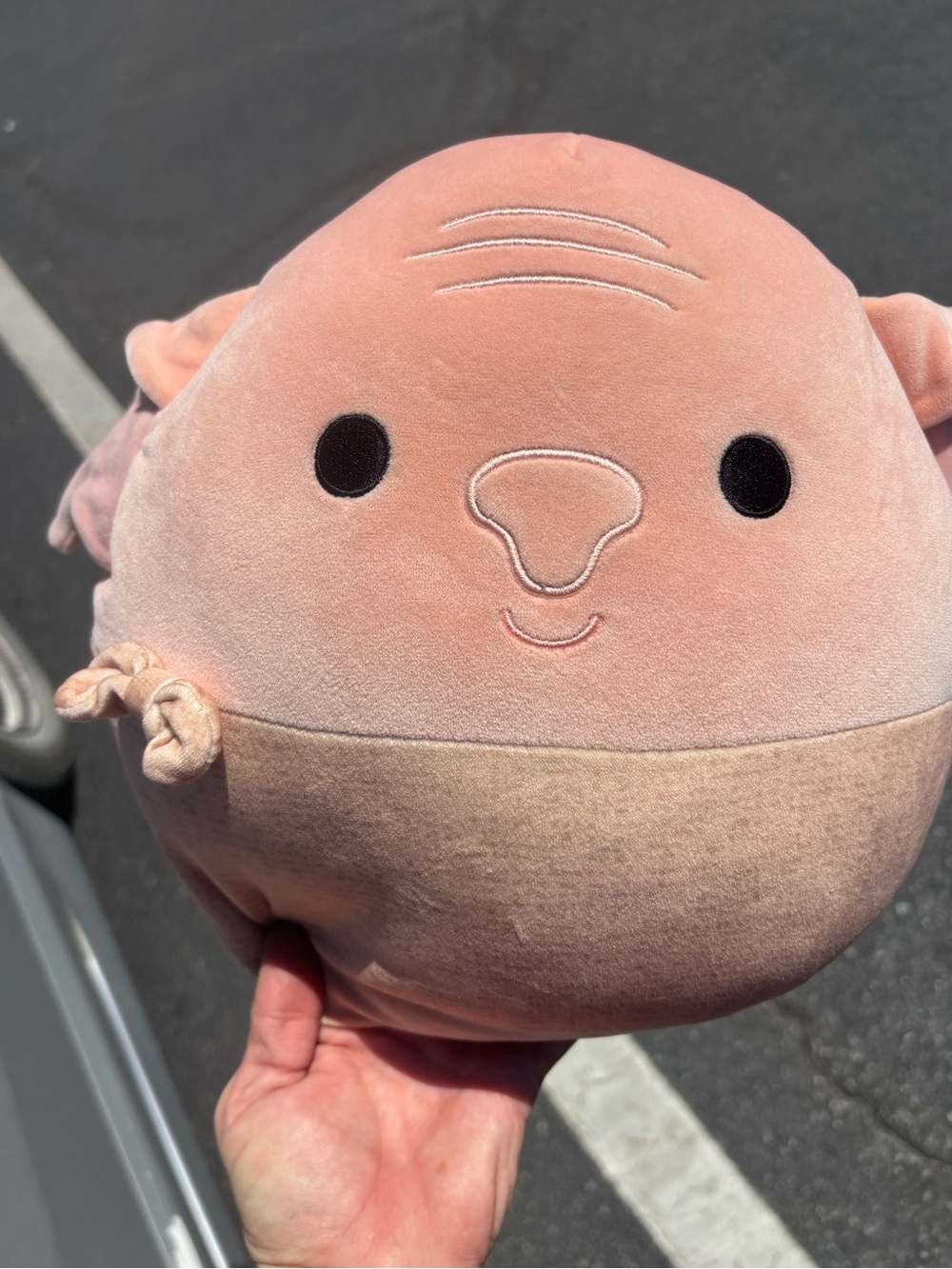 Squishmallows Dobby House Elf plush Harry Potter Wizarding World collection.